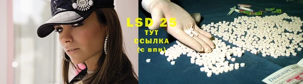 ПСИЛОЦИБИНОВЫЕ ГРИБЫ Струнино
