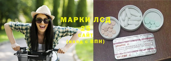 ПСИЛОЦИБИНОВЫЕ ГРИБЫ Струнино